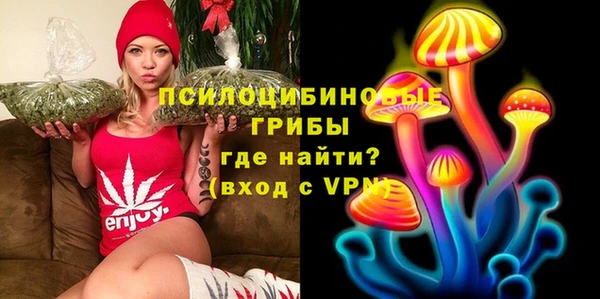 гидра Алексин