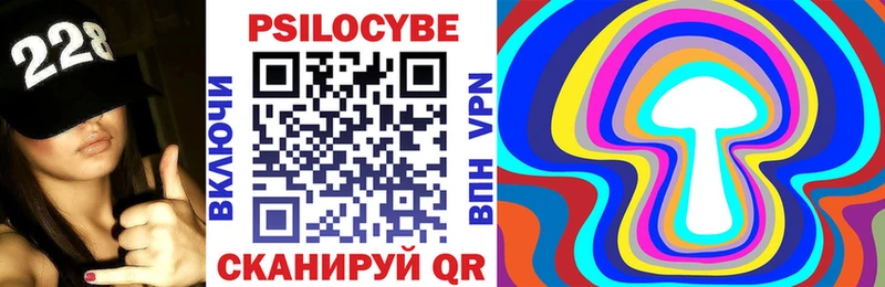 Псилоцибиновые грибы Cubensis  Темников 